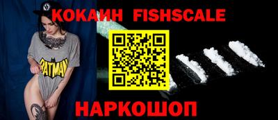 индика Можга