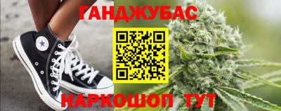 индика Можга