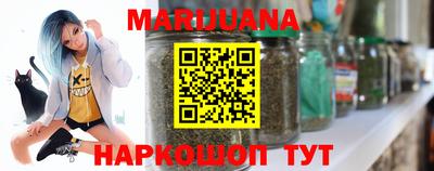 индика Можга