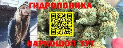 ГАЛЛЮЦИНОГЕННЫЕ ГРИБЫ Моздок