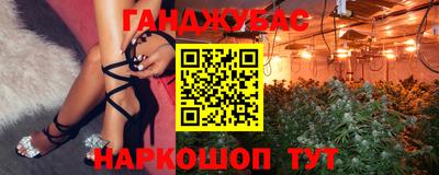 индика Можга