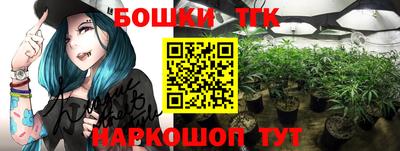 индика Можга