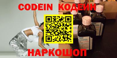 индика Можга