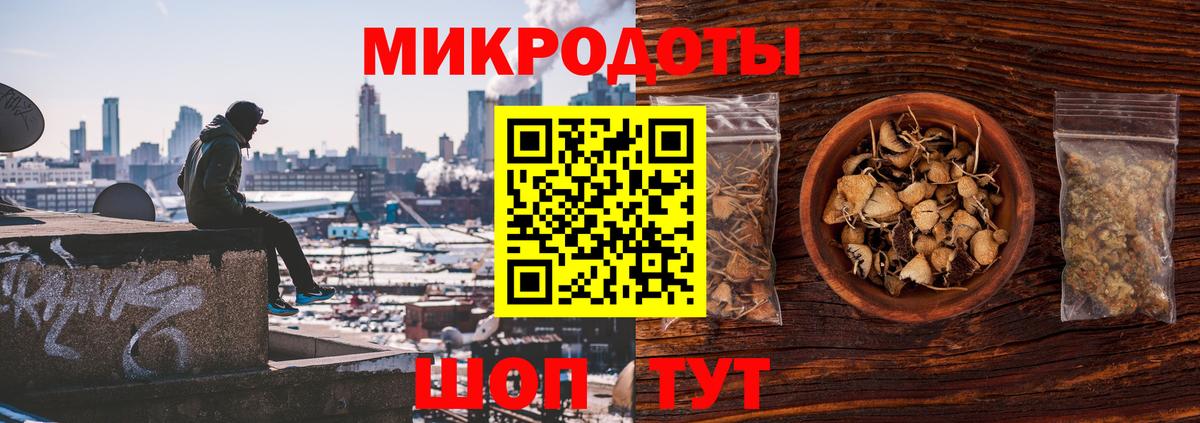 Галлюциногенные грибы Psilocybe Семёнов