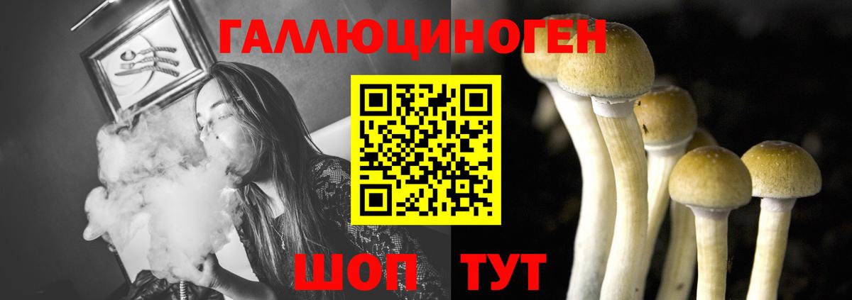 Псилоцибиновые грибы Psilocybe  Галлюциногенные грибы Psilocybine cubensis  Вход с VPN  Семёнов 